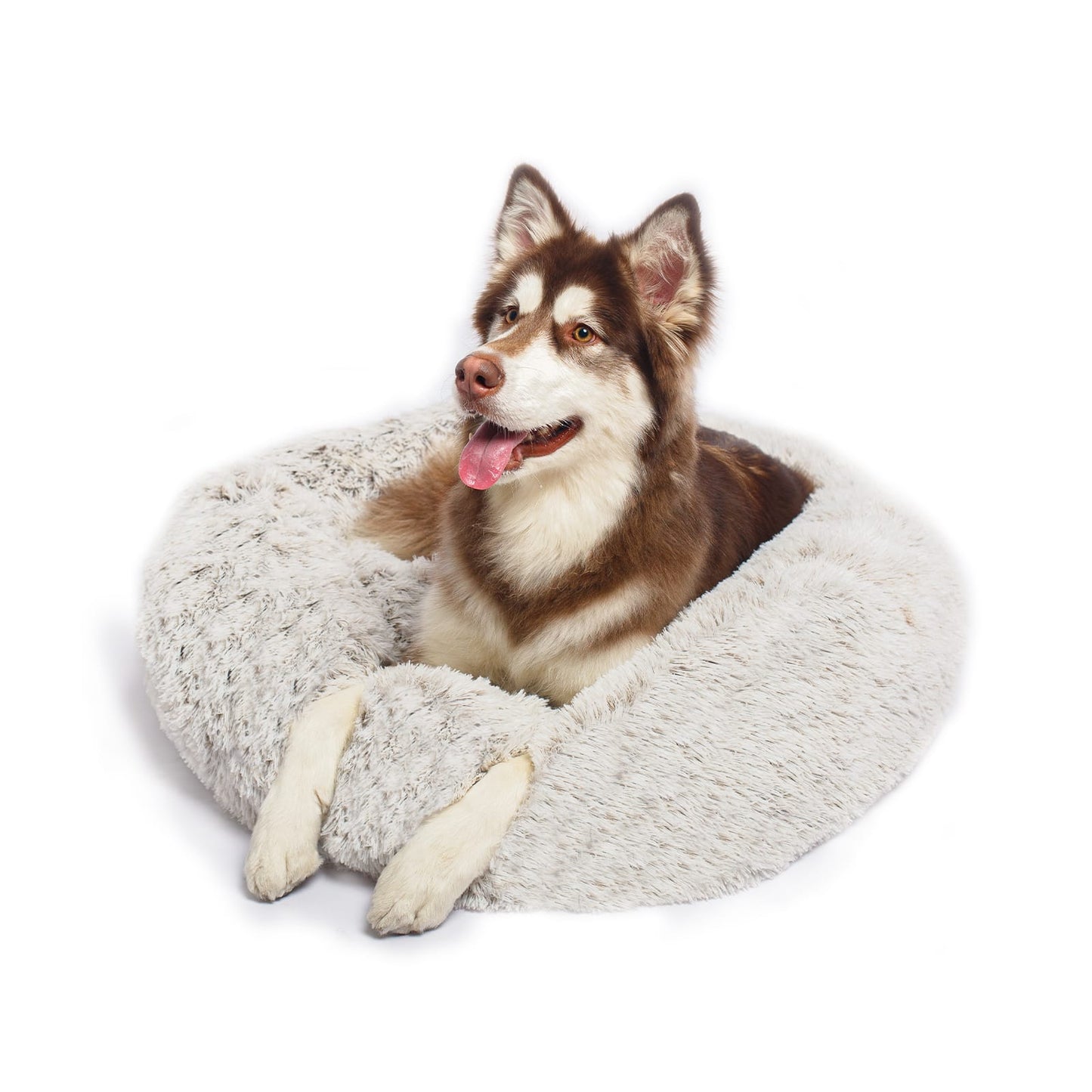 calming dog bed with husky on top in gradient coffee