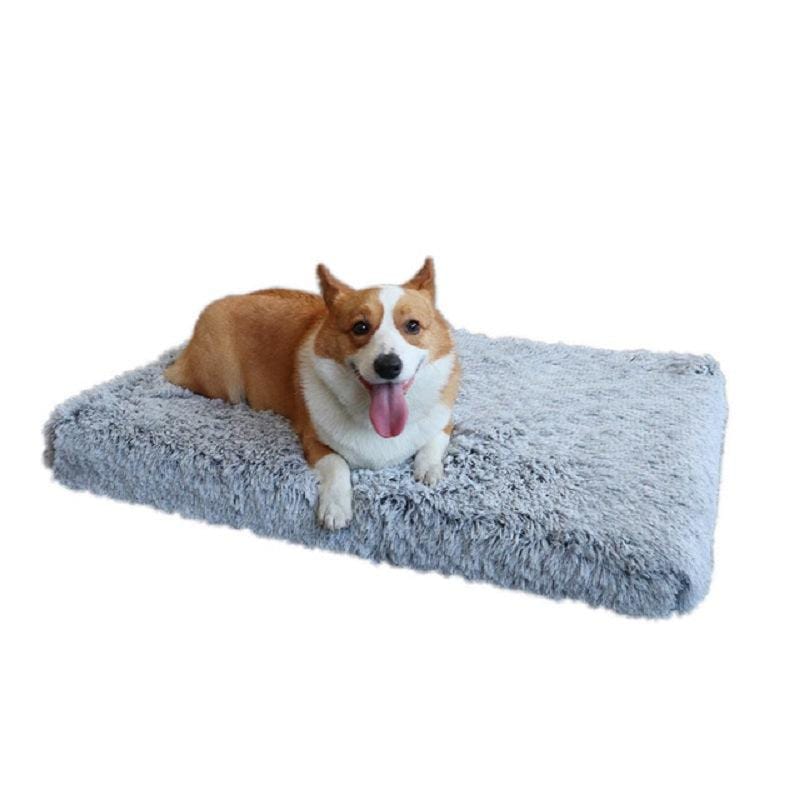 Orthopaedic Dog Bed 