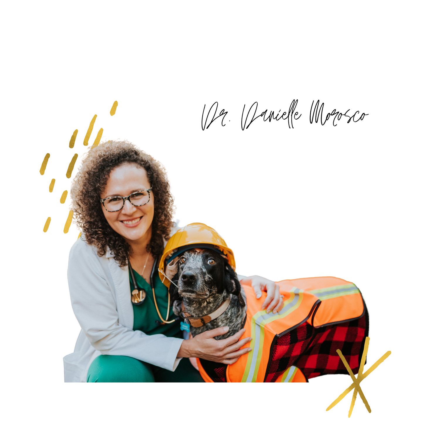 Dr Danielle Morosco DMV