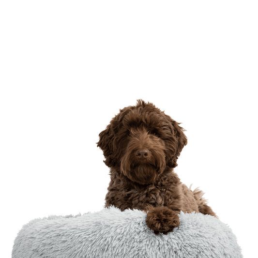 The Calming Dog Bed Premium Calming Pet Beds