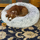 Calming Dog Bed