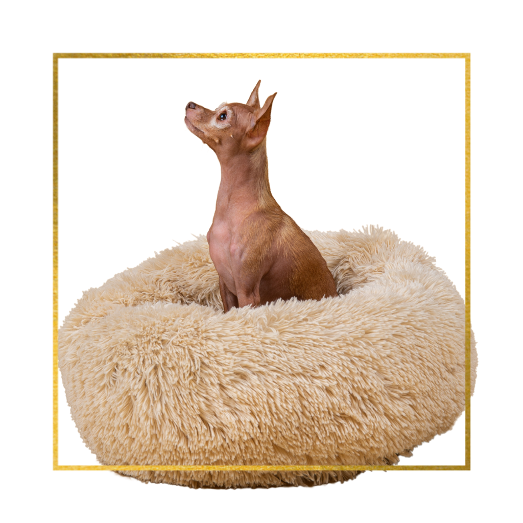 The Calming Dog Bed Calming Pet Beds Australia