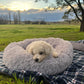 Calming Dog Bed