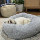 Calming Dog Bed