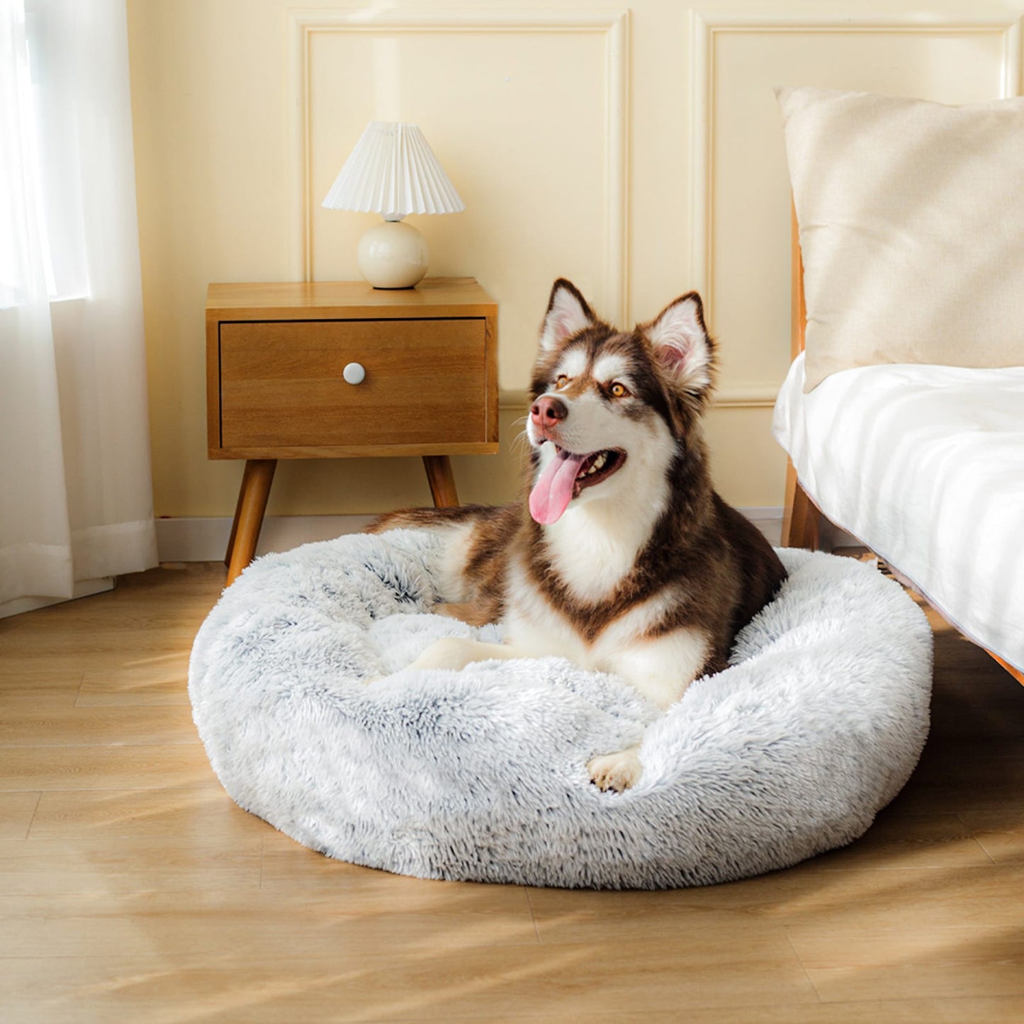 Siberian Husky in calming dog bed cream colour in bedroom