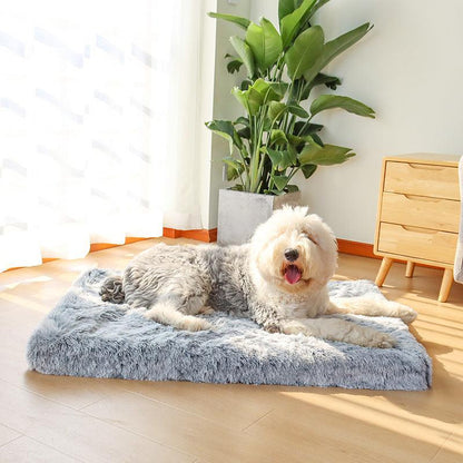 Orthopaedic Dog Bed - The Calming Dog Bed