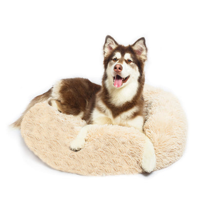 Siberian Husky in calming dog bed cream colour
