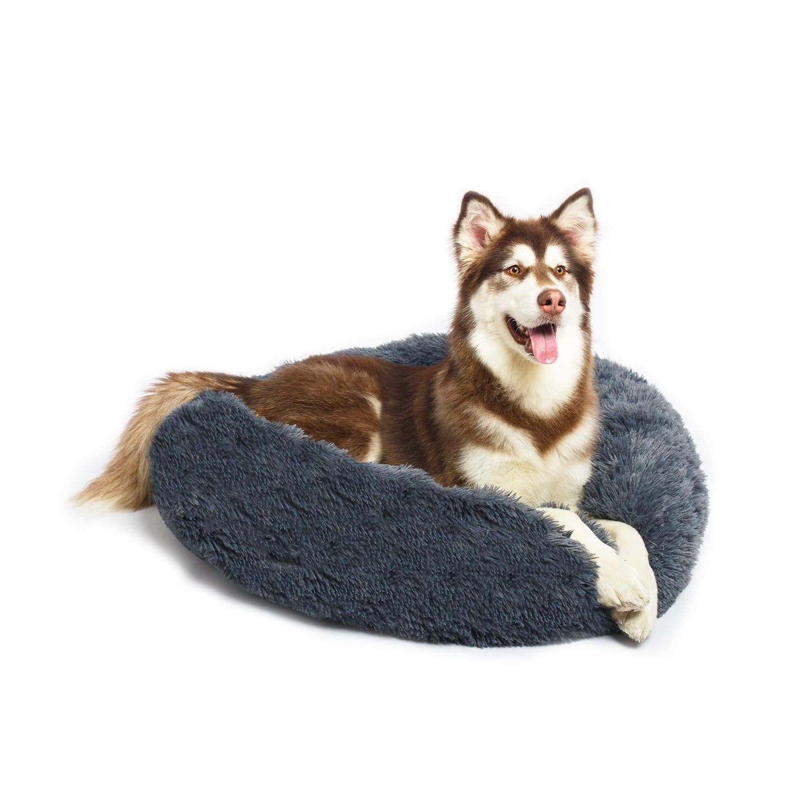 Siberian Husky in calming dog bed charcoal colour
